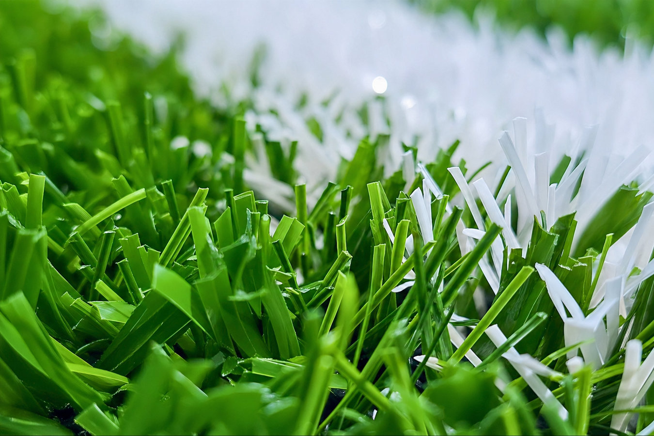 Artificial Turf Installer services in Holly Hill